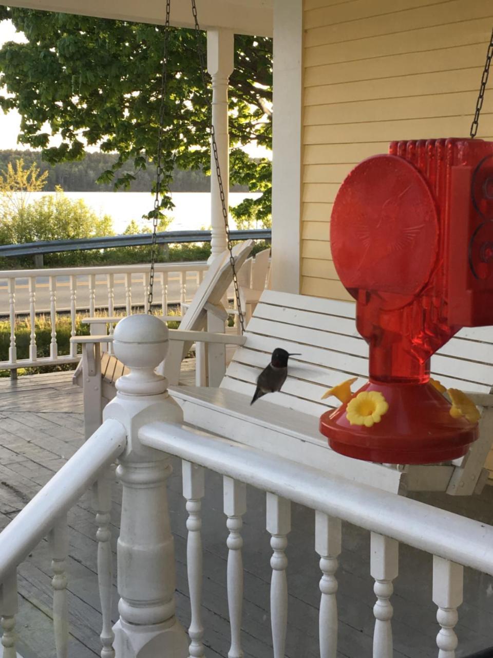Toba'S Bed & Breakfast Lunenburg Extérieur photo